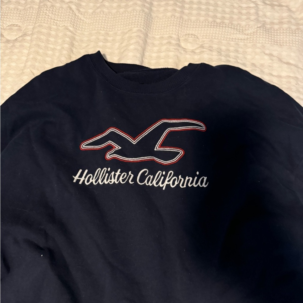 Hollister cropped sweatshirt
